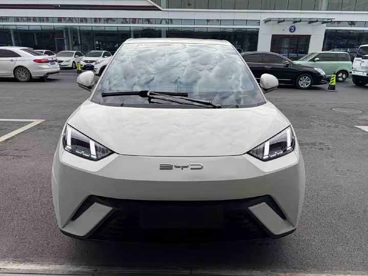 Фото 2 - BYD Seagull