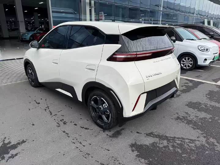 Фото 4 - BYD Seagull