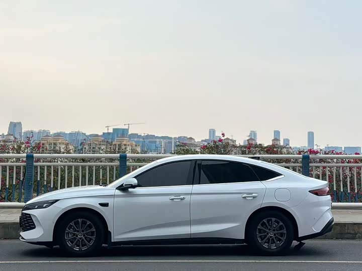 Фото 5 - BYD Qin L