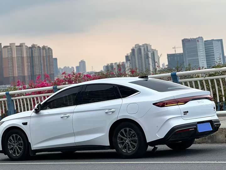 Фото 6 - BYD Qin L