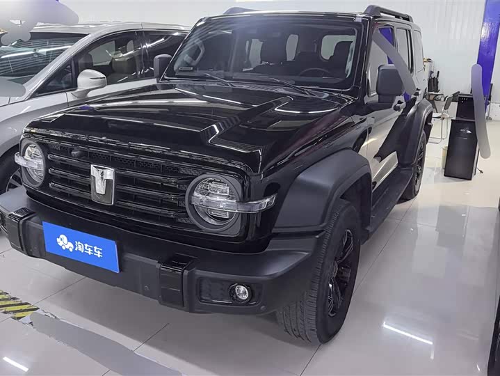 Фото 1 - Tank 300