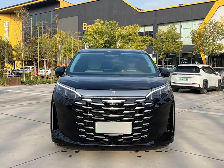 Фото 2 - BYD Xia