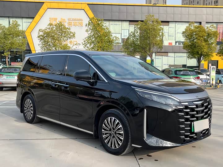 Фото 3 - BYD Xia