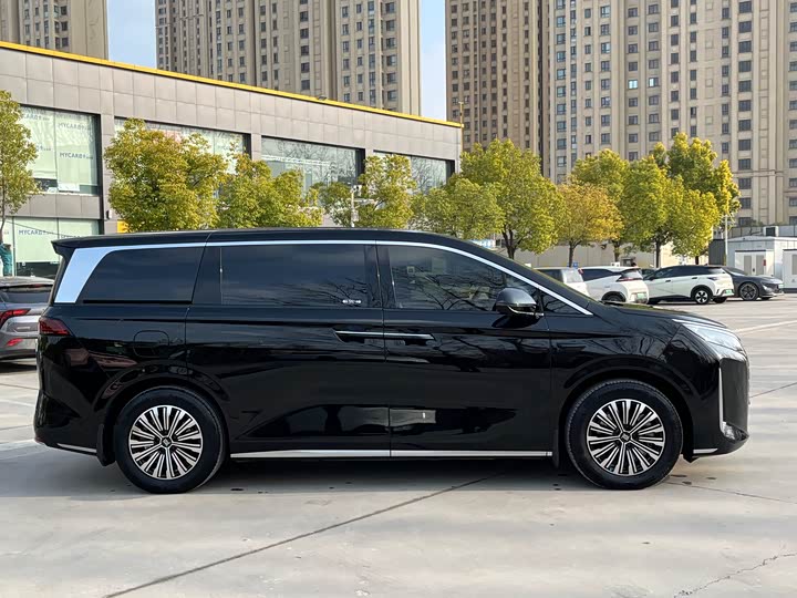 Фото 4 - BYD Xia