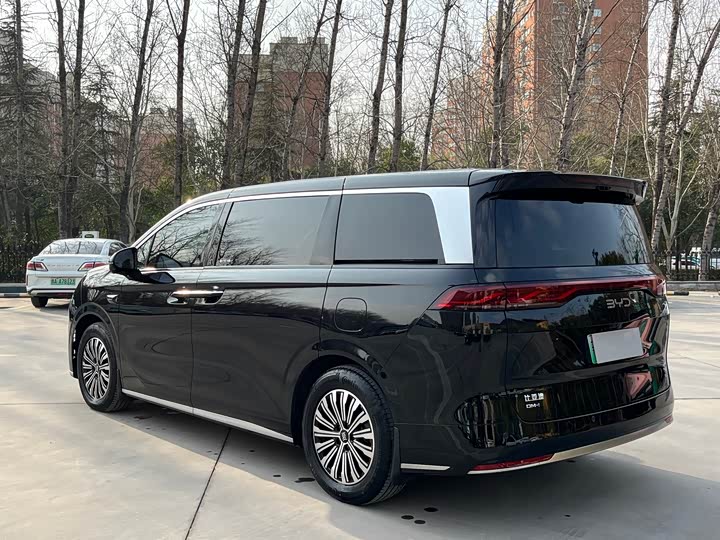 Фото 6 - BYD Xia