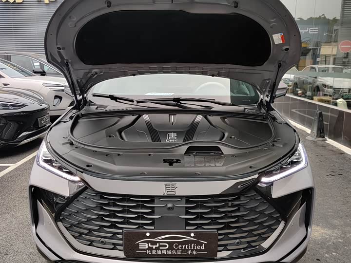 Photo 6 - BYD Tang Hybrid/EV