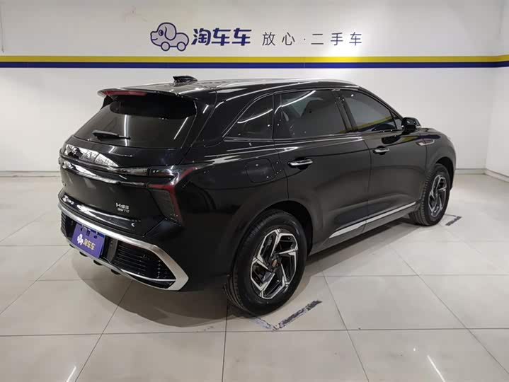 Фото 3 - Hongqi HS3