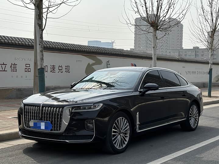 Photo 1 - Hongqi H9