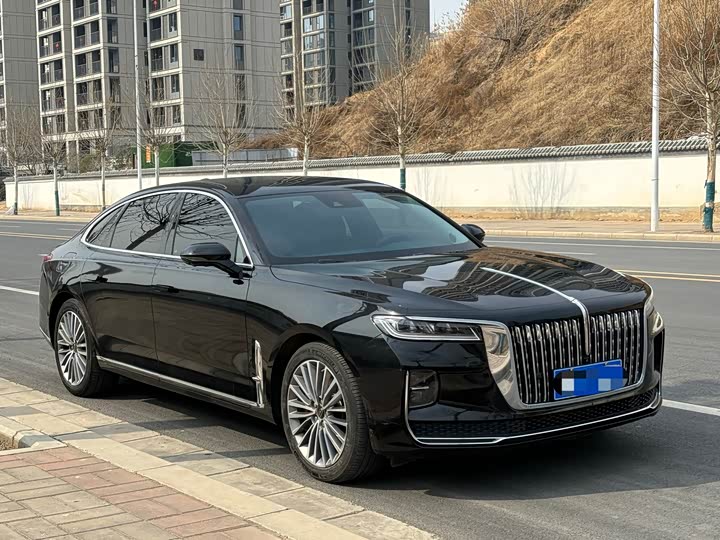 Photo 4 - Hongqi H9