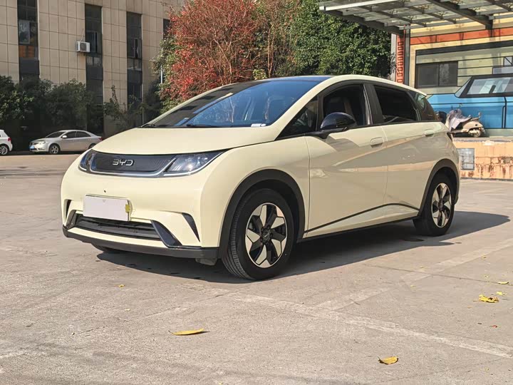 Фото 1 - BYD Dolphin