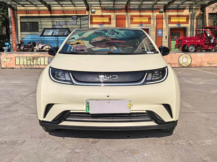 Фото 2 - BYD Dolphin