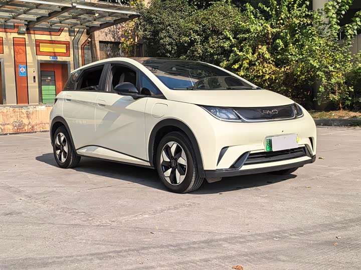 Фото 3 - BYD Dolphin