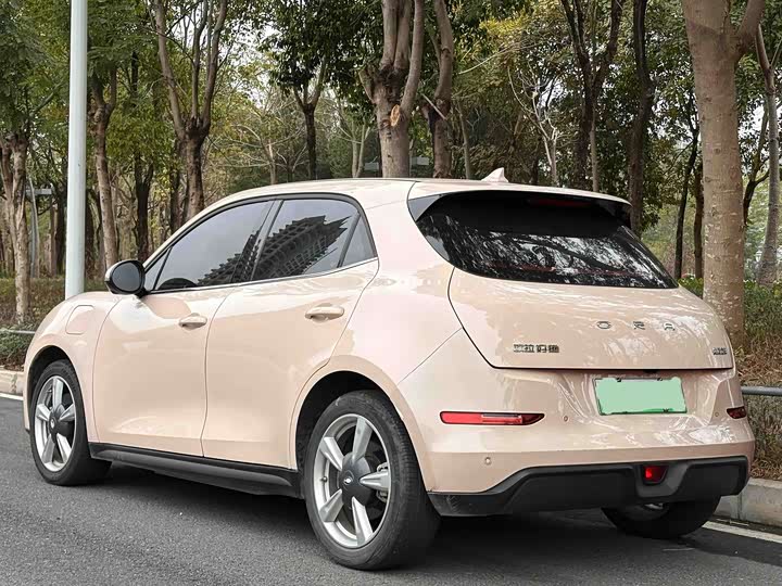 Фото 2 - Ora Good Cat (03)