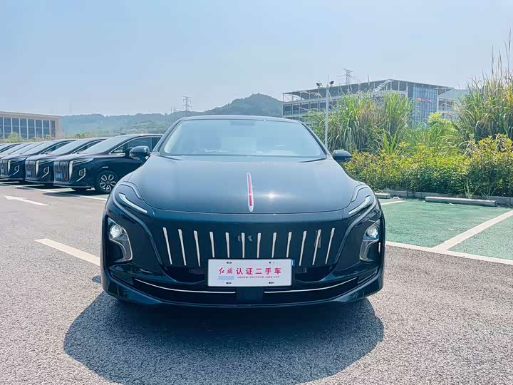 Фото 2 - Hongqi E-QM5