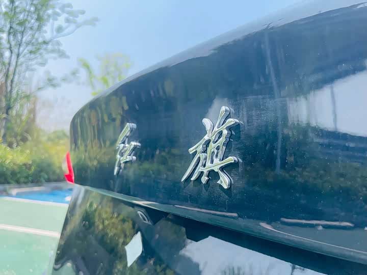 Фото 5 - Hongqi E-QM5