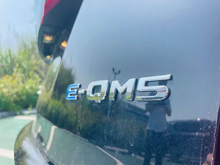 Фото 6 - Hongqi E-QM5