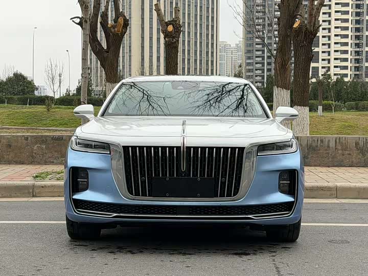 Фото 2 - Hongqi H9