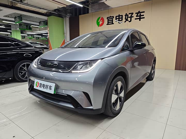 Фото 1 - BYD Dolphin