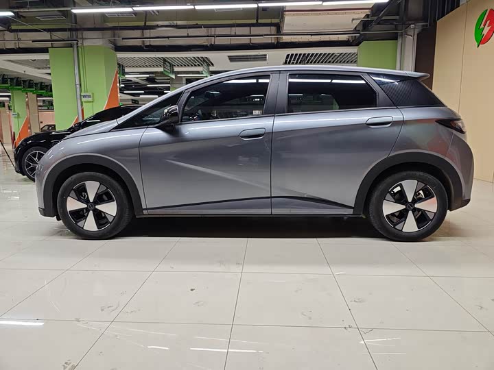 Фото 4 - BYD Dolphin