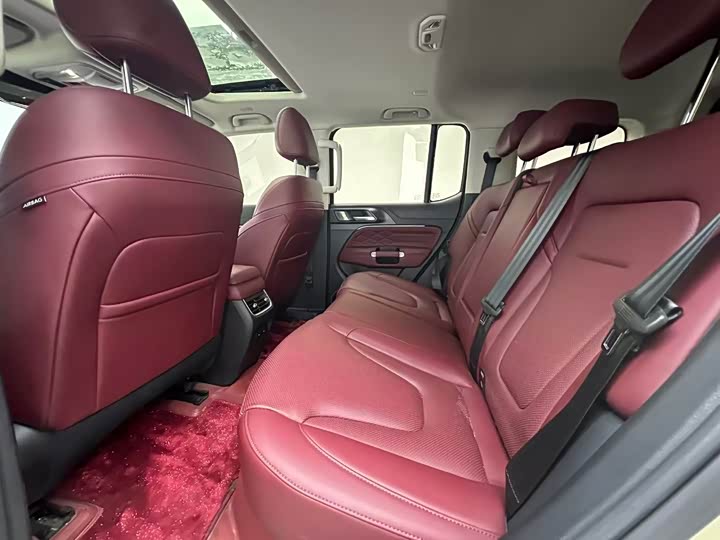 Photo 6 - Tank 300 Hybrid