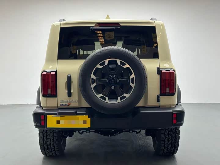 Photo 7 - Tank 300 Hybrid