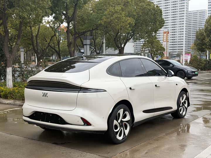 Фото 6 - IM motors LS6