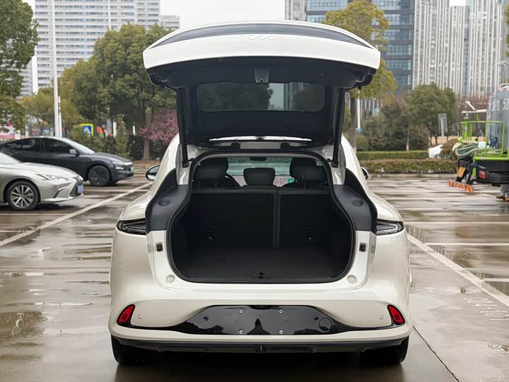 Фото 8 - IM motors LS6