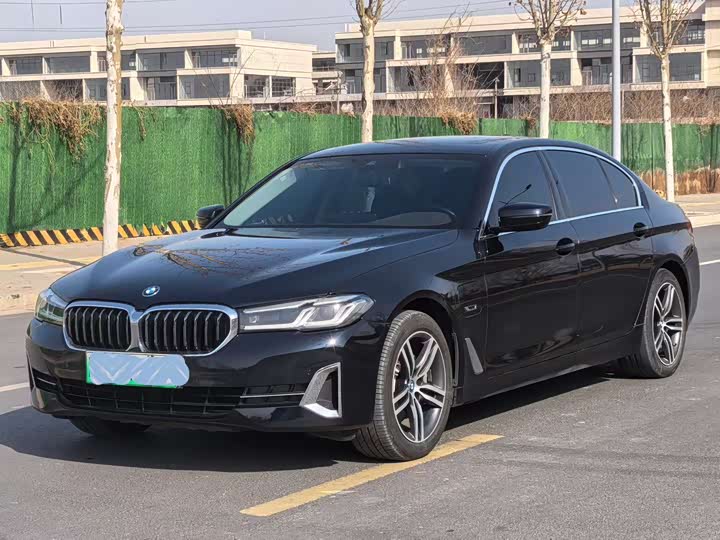 Фото 1 - BMW 5 Series Hybrid