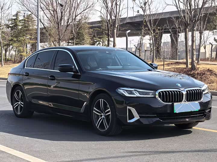 Фото 3 - BMW 5 Series Hybrid