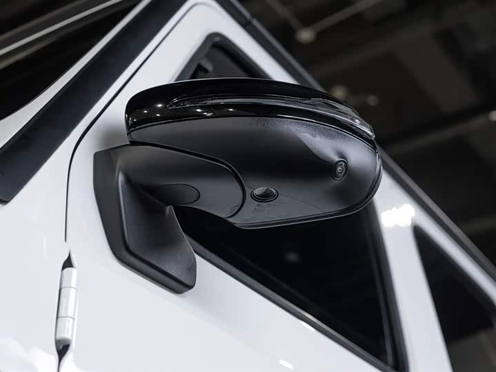 Фото 9 - Mercedes-Benz G-Class AMG