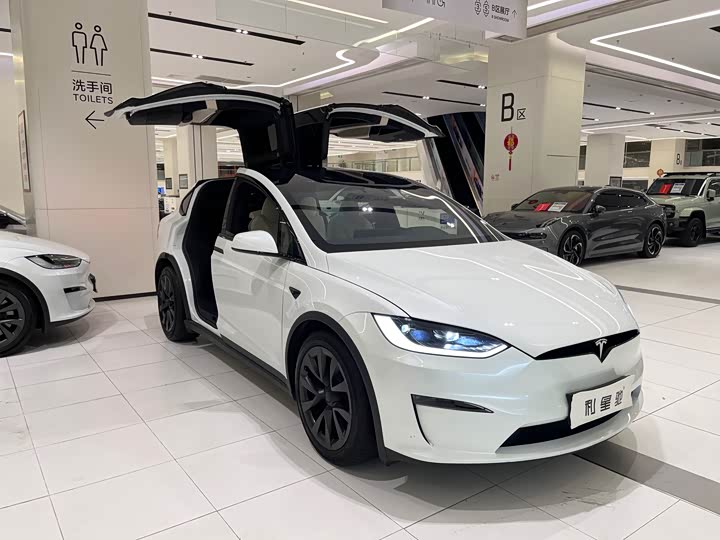 Фото 2 - Tesla Model X