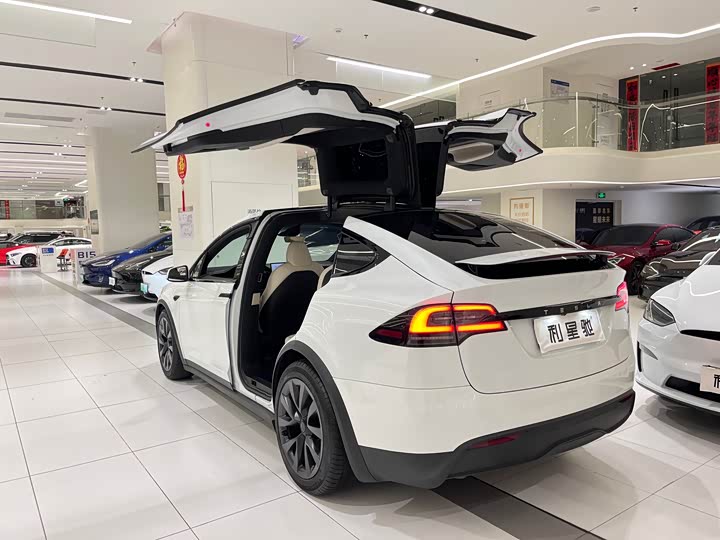Фото 3 - Tesla Model X