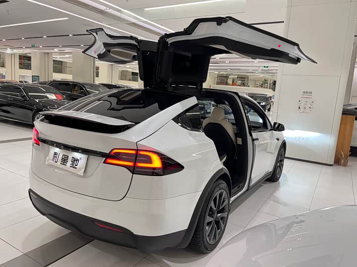 Фото 4 - Tesla Model X