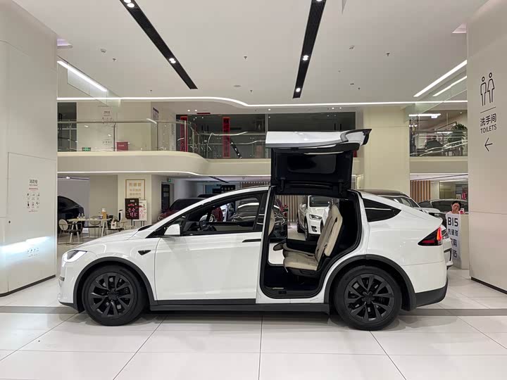 Фото 6 - Tesla Model X