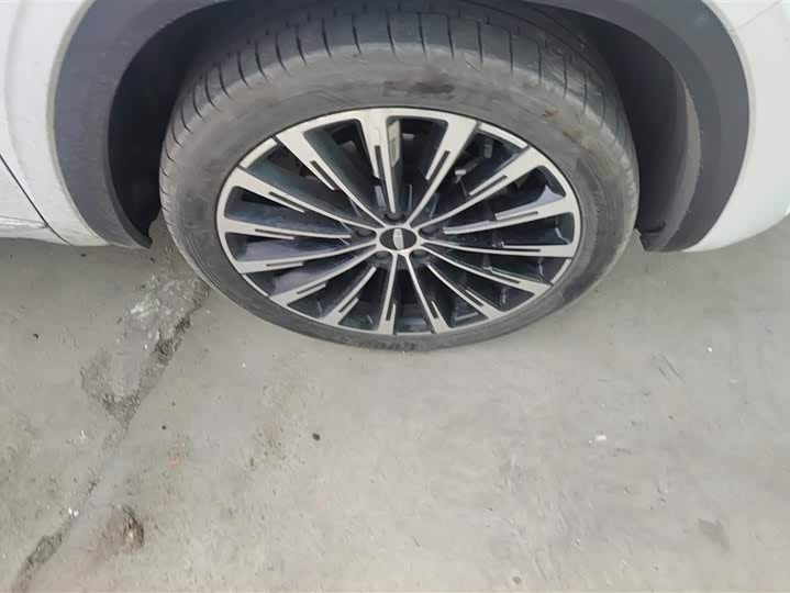 Photo 6 - Geely Monjaro