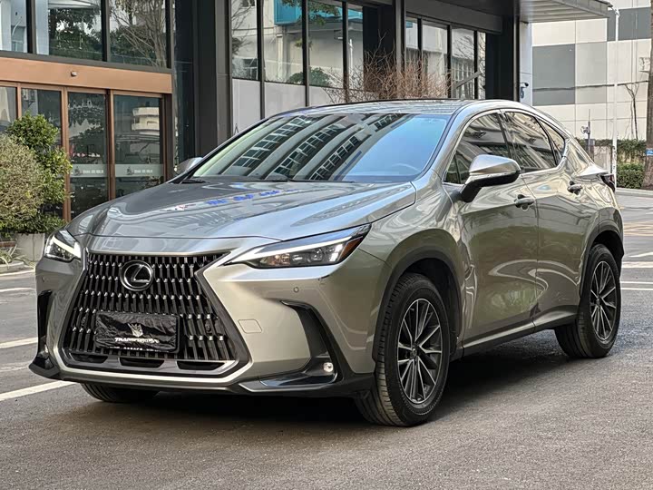 Фото 1 - Lexus NX