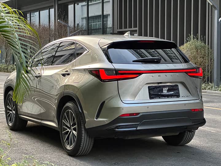 Фото 6 - Lexus NX