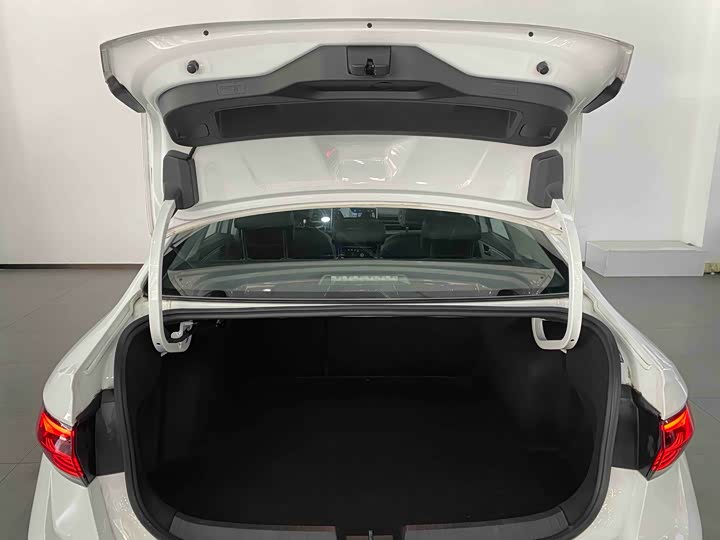 Фото 7 - Volkswagen Sagitar L