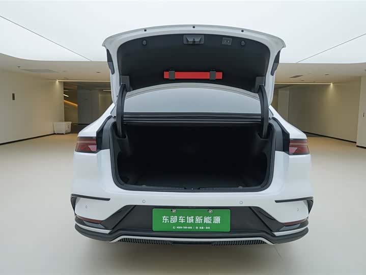 Фото 6 - BYD Han