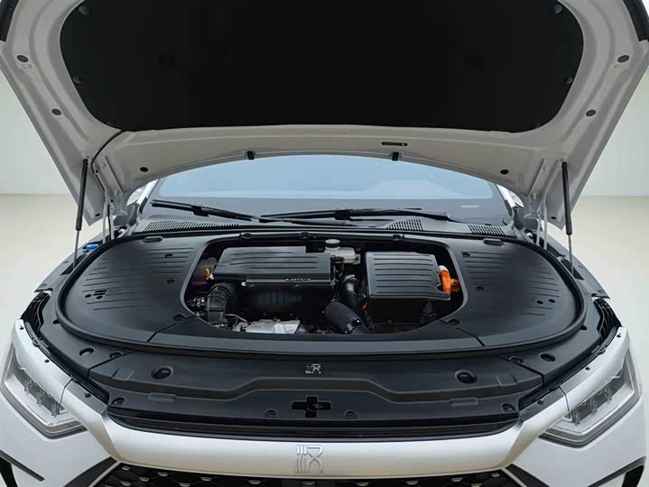 Фото 7 - BYD Han