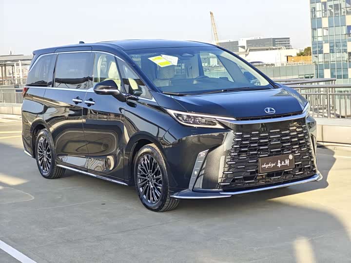 Фото 3 - Lexus LM