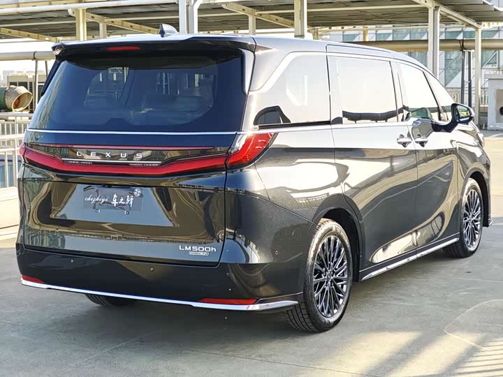 Фото 4 - Lexus LM
