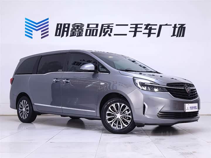 Фото 5 - Buick GL8 ES