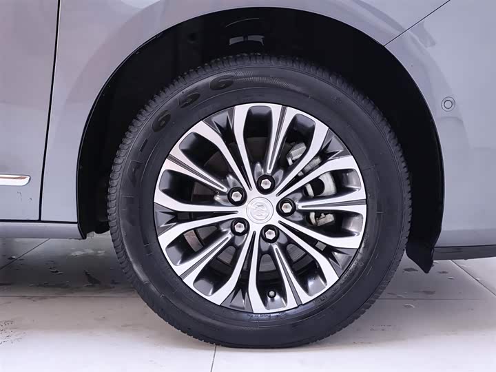 Фото 6 - Buick GL8 ES