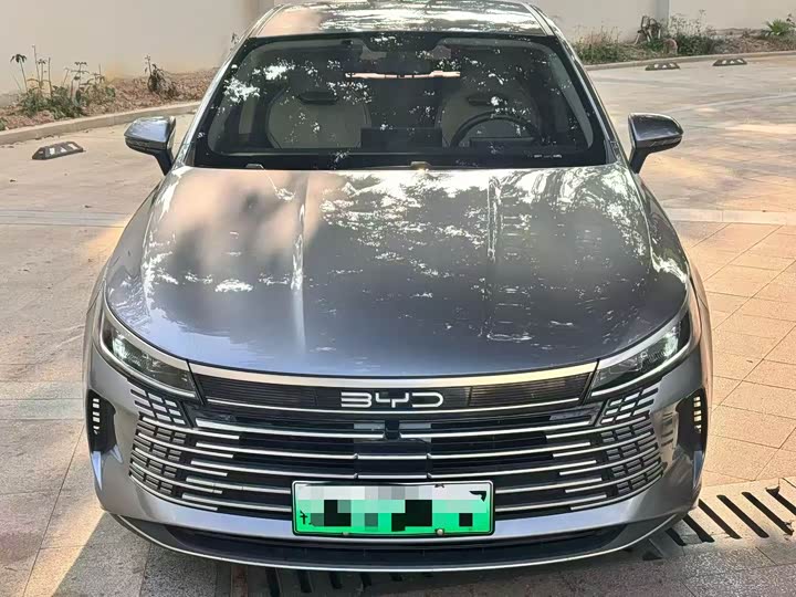 Фото 2 - BYD Destroyer 05