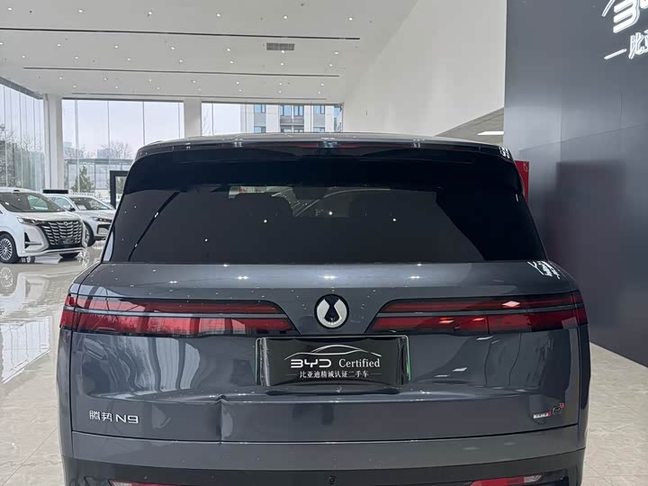 Фото 8 - Denza N9