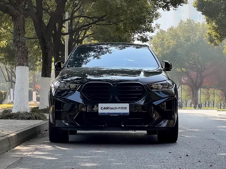 Фото 3 - BMW X6 M