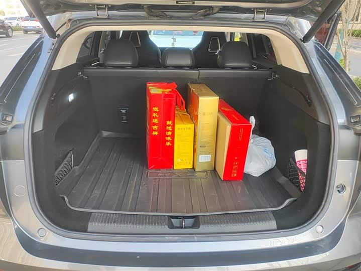 Фото 4 - Roewe RX5