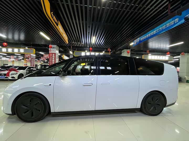 Фото 3 - LiXiang Mega