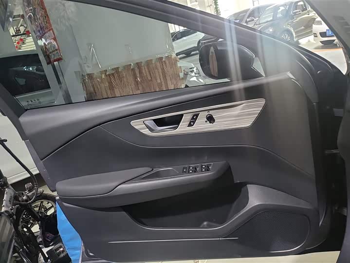 Фото 7 - Hongqi E-QM5